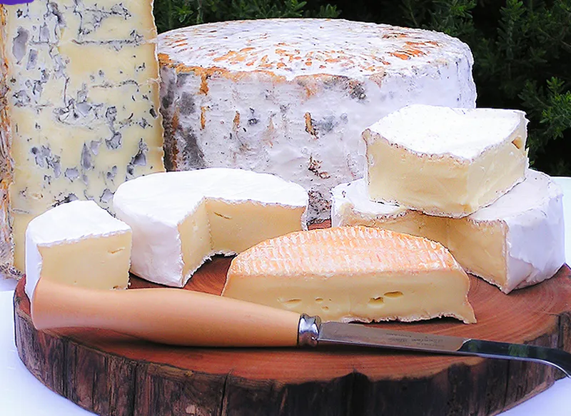 Indulge your taste buds with delicious locally produced cheeses