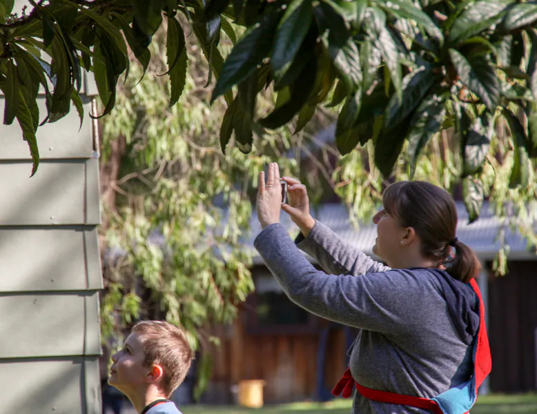 Observe nature right outside your door