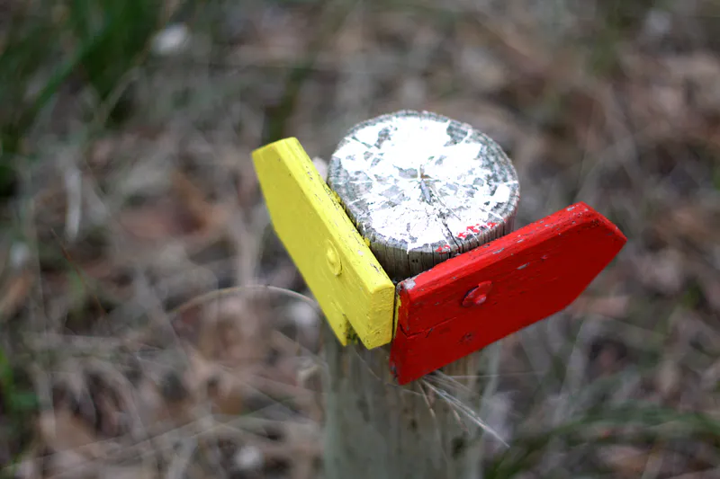 Approximately 4.5 km of bush walks