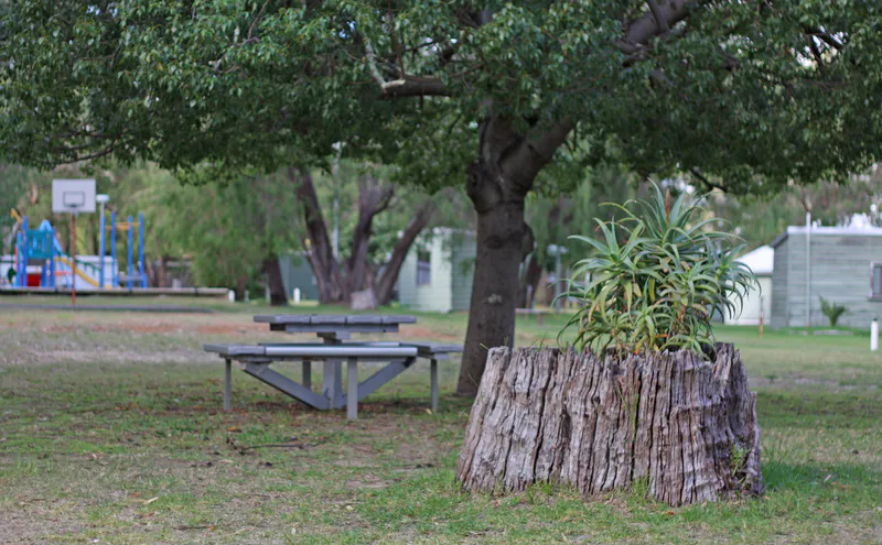 Bring your favourite food and drinks and enjoy your surroundings